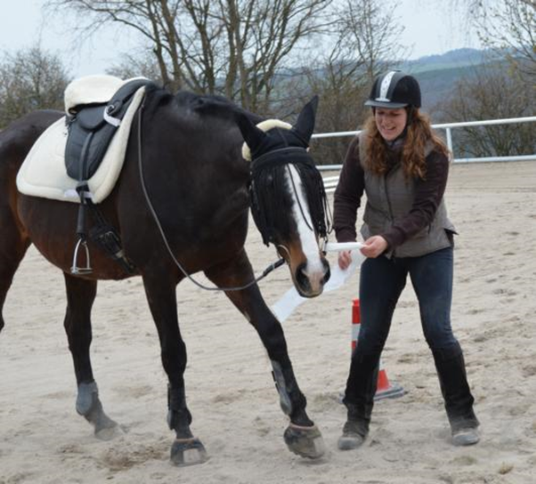 Reiter neben Pferd. Pferd hat ein Tuch im Maul 