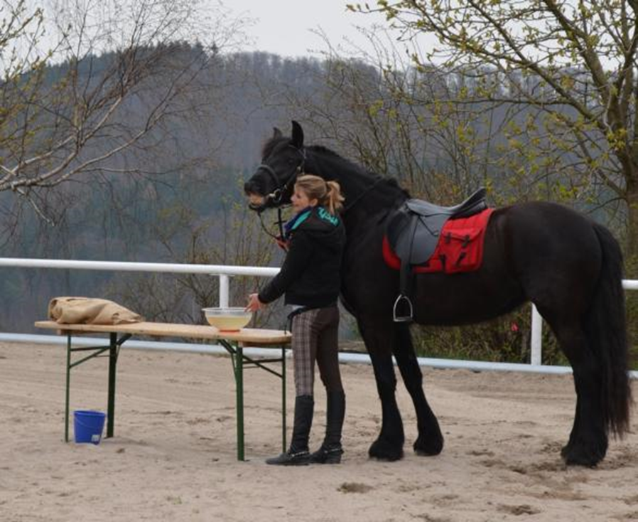 Reiter neben Pferd auf Hindernisparkur. Das Pferd isst einen Apfel aus einer mit Wasser gefüllten Schale.